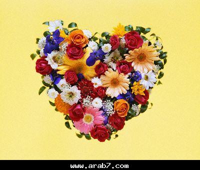 a heart